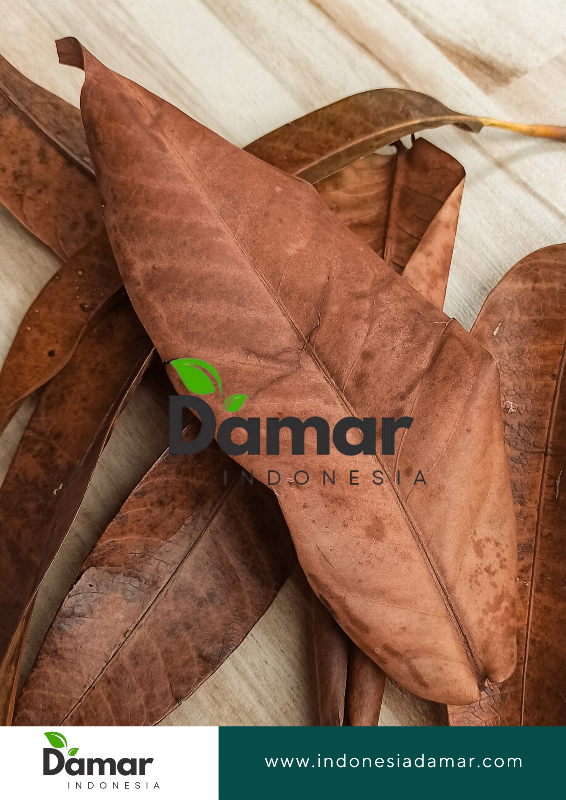 damar (2)
