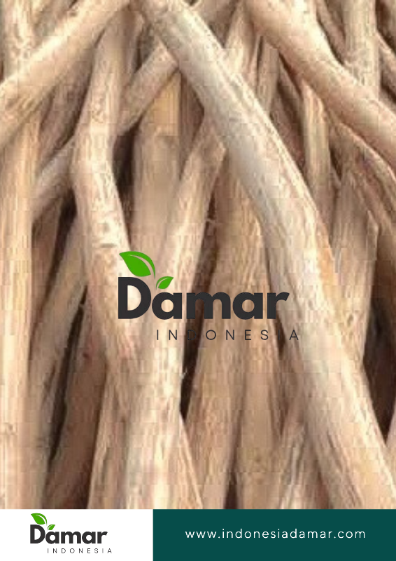 damar (4)