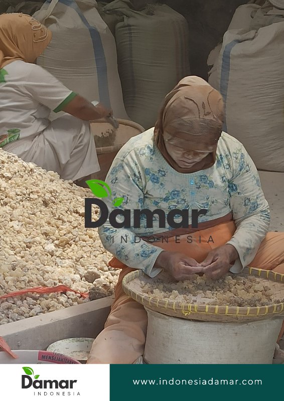 damar (5)