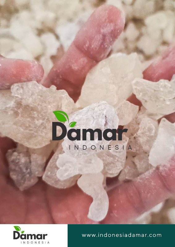 damar (8)