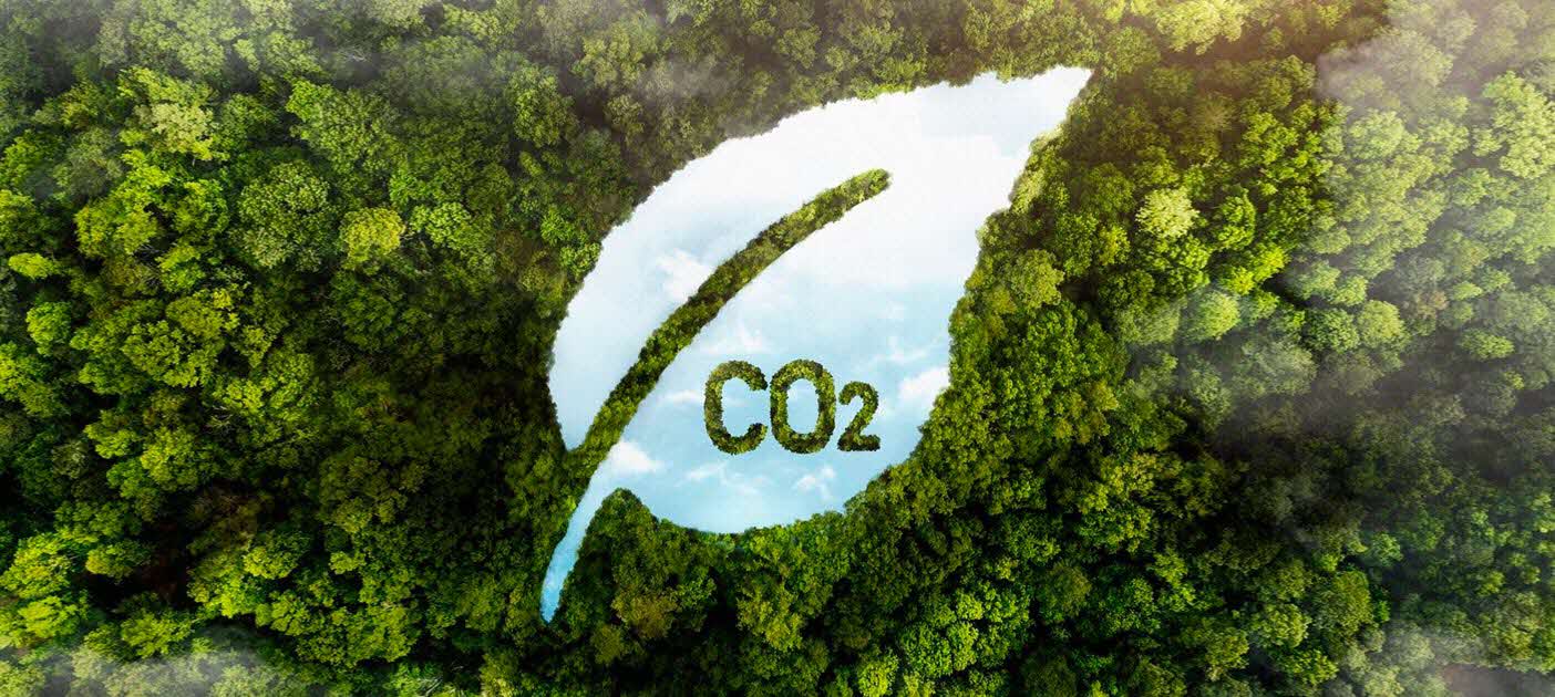 livebetter-article-2024-4-banner-1404×630